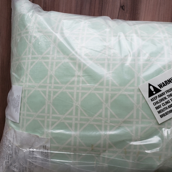 Waverly Floral & Light Aqua Geometric Pattern Accent Pillow NWT - Picture 8 of 9